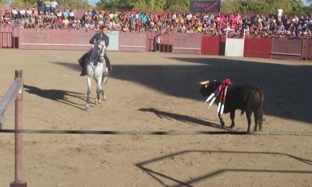 Imagen 'FIESTAS TRADICIONALES' o 'LOS TOROS'